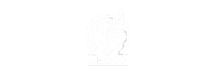 seleccion-producciones-moon